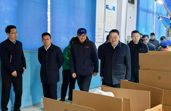 市委书记王伟调研我公司复工复产情况